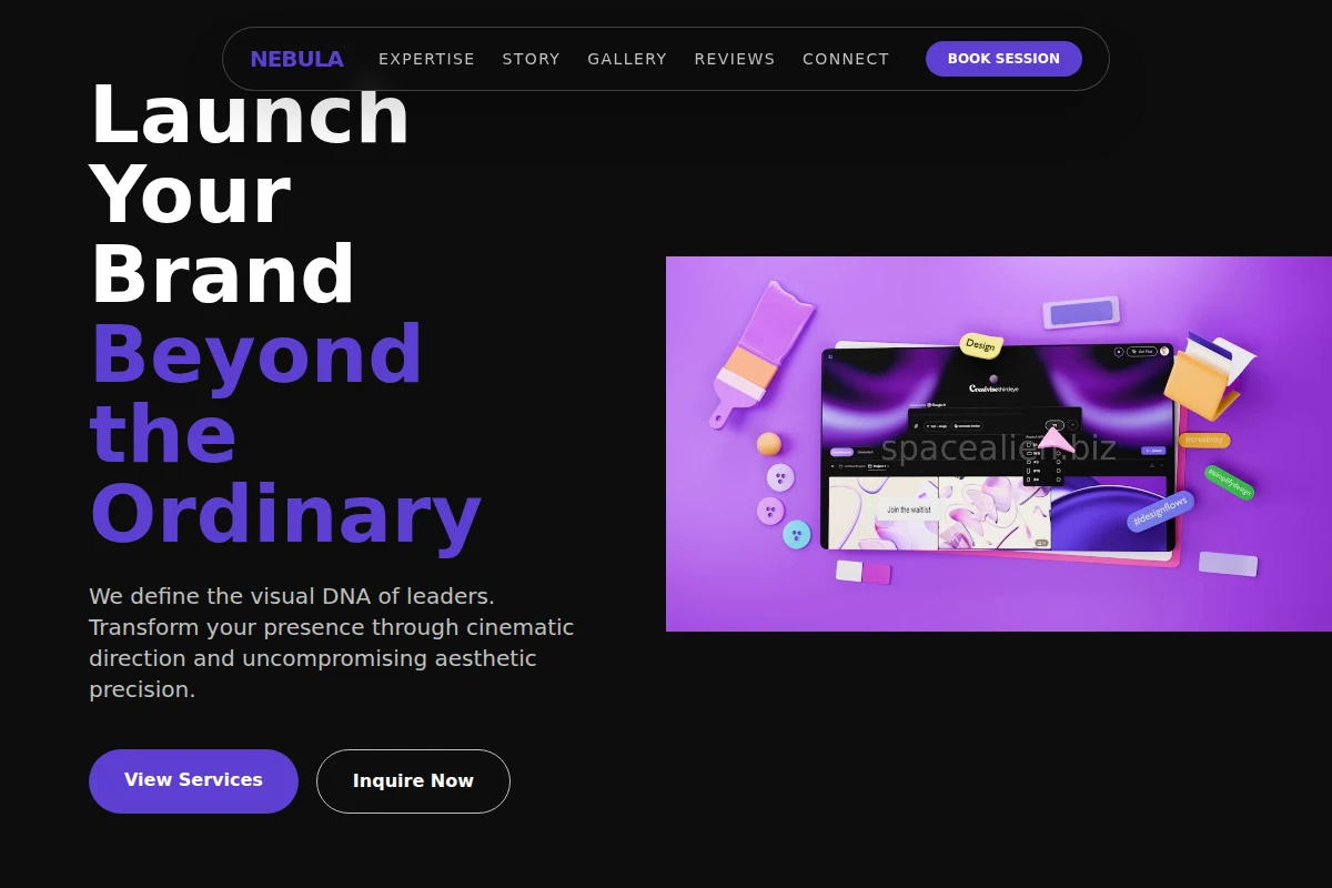 Vector Creative Direction